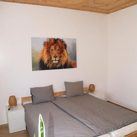 Dar Makai Surf Hotel Tamraght Ngoại thất bức ảnh