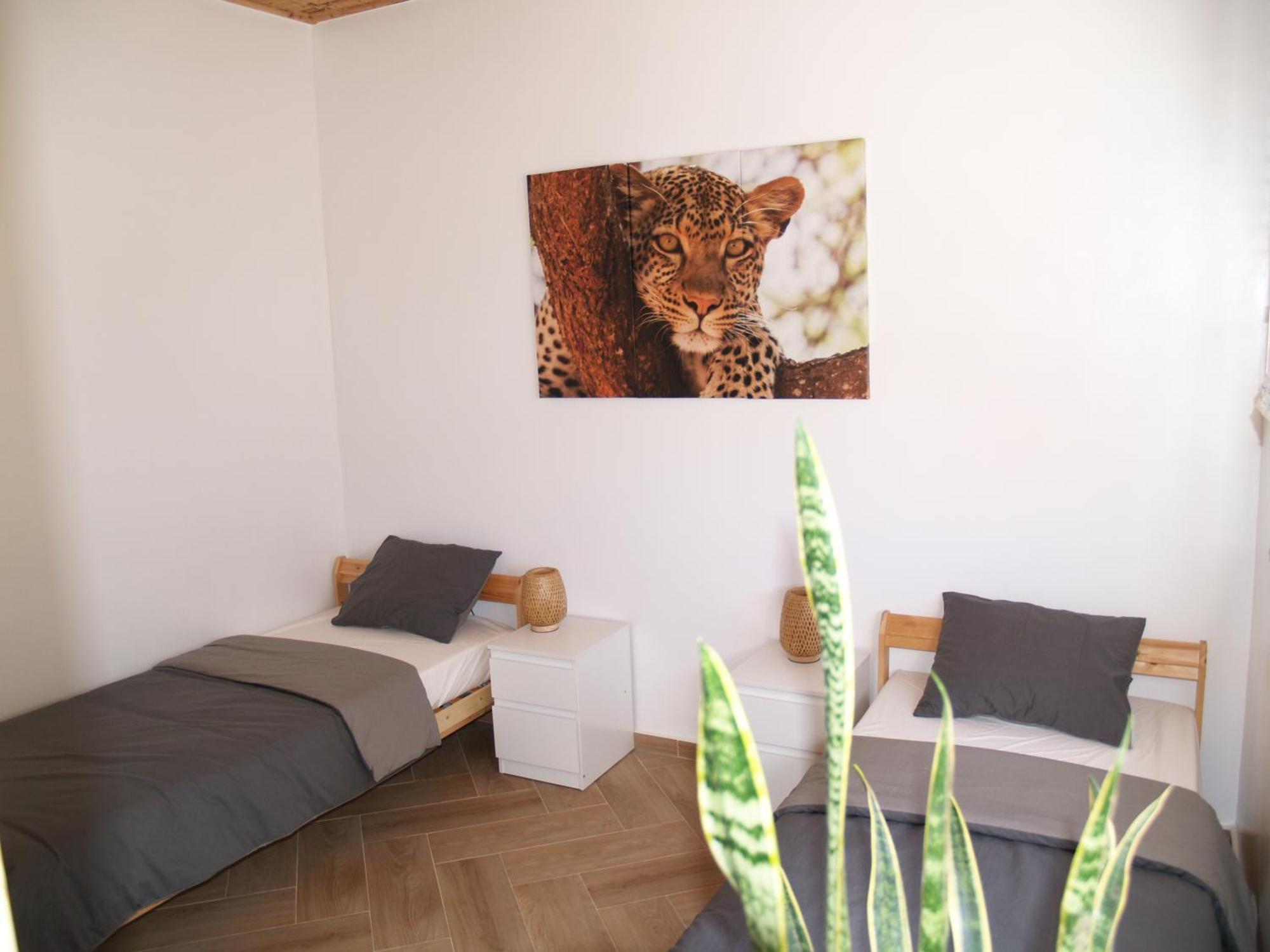 Dar Makai Surf Hotel Tamraght Ngoại thất bức ảnh